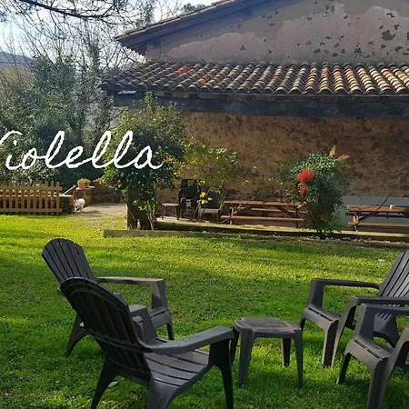 Mas Violella Rural *