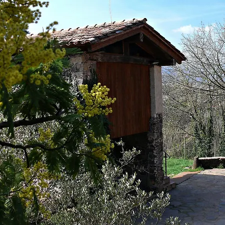 Mas Violella Rural *