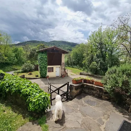 Gospodarstwo wiejskie Mas Violella Rural *