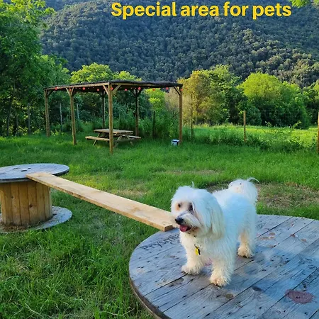 Mas Violella Rural Gospodarstwo wiejskie Sant Joan les Fonts