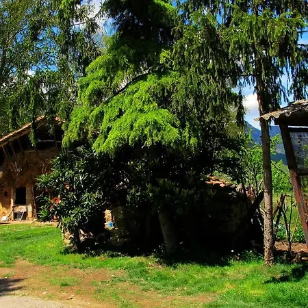 Mas Violella Rural